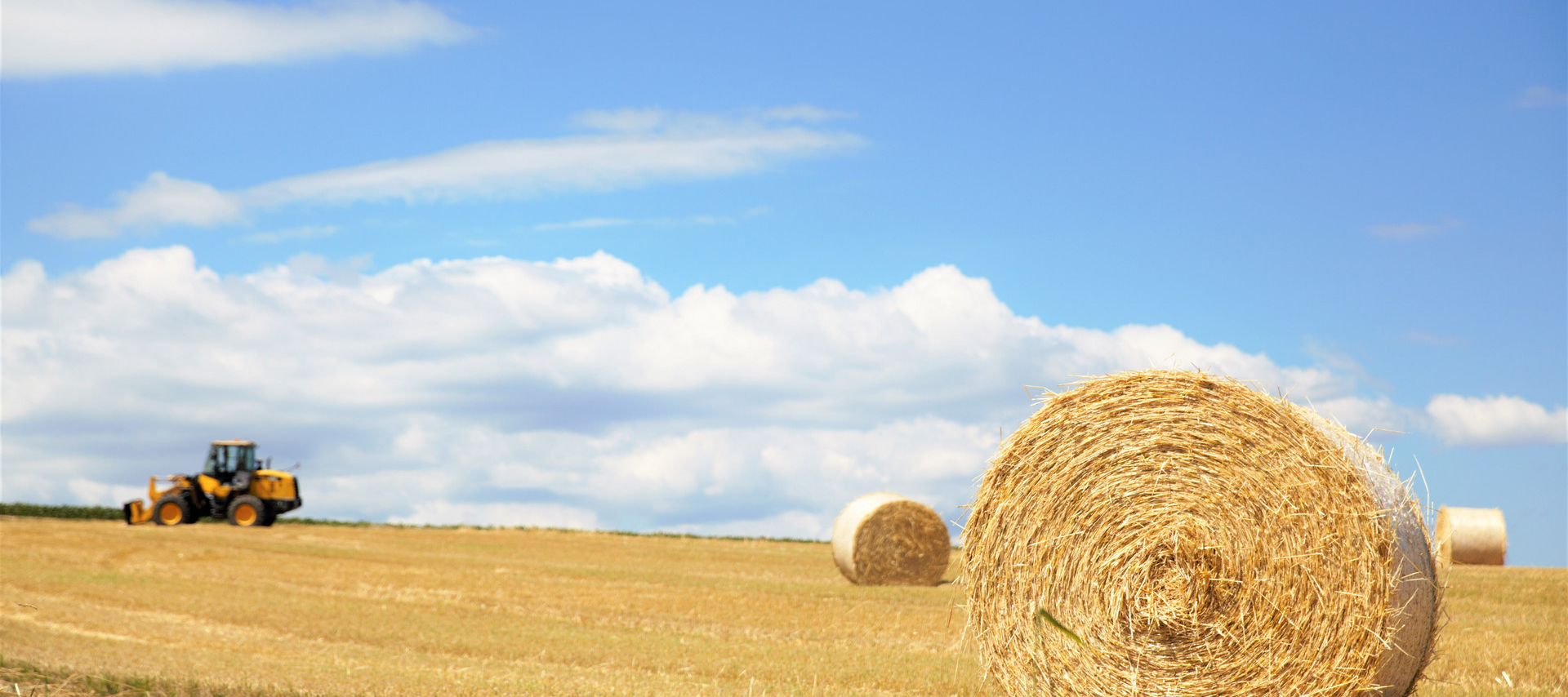 深圳市重點農業(yè)龍頭企業(yè)認定與監(jiān)測  管理辦法